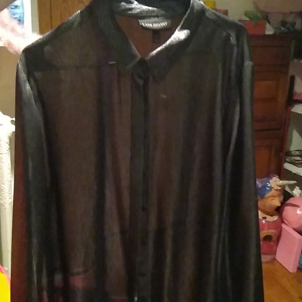 Sheer Sparkly Dress Shirt